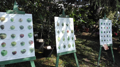 Fiorissima - Market in Ovada, Italy