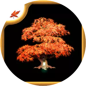 Fire Maple Games Collection - Video game