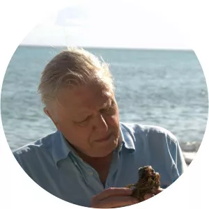 First Life With David Attenborough - TV program