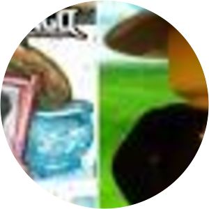 First Spinjitzu Master's Wife photograph