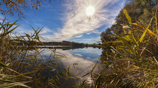 Fischereiverein Weilheim e.V. - Club in Polling, Germany