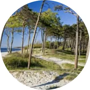 Fischland-Darß-Zingst - Peninsula in Germany