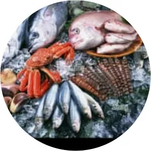 Fish products - Food