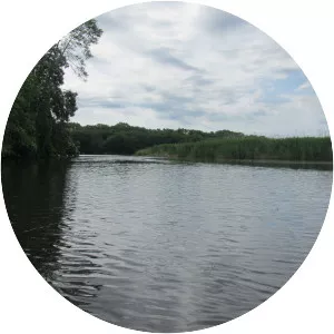 Fisherville Pond