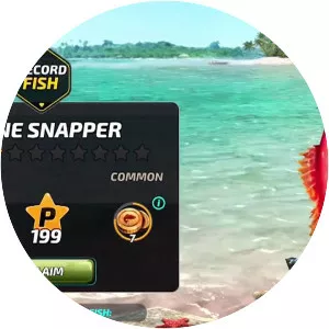 Fishing Clash: Bass Fishing 3D. Fish Hunting Games