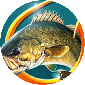 Fishing Hook : Bass Tournament