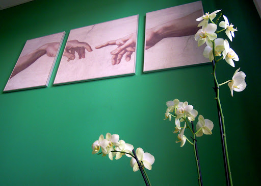 Fisioterapia Equilibrio - Physical therapy clinic in Arriondas, Spain