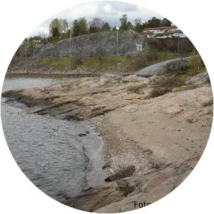 Fiskevollbukta photograph