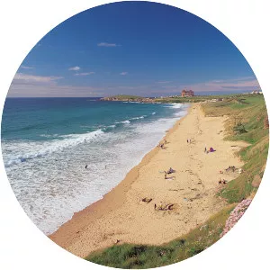 Fistral Beach - 