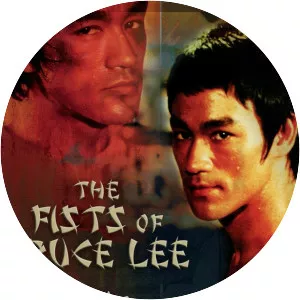 Fists of Bruce Lee