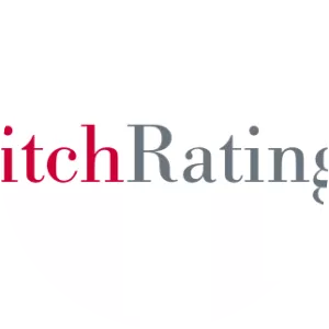 Fitch Ratings - Company