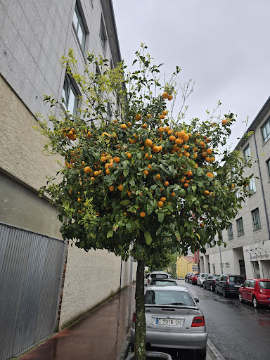 Fitness Fene - Gym in Fene, Spain