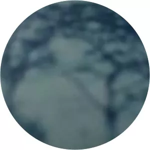 Five Years Later - Album by John Abercrombie and Ralph Towner