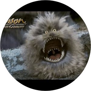 Fizzgig