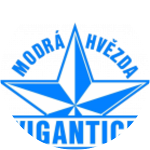 FK Vigantice photograph