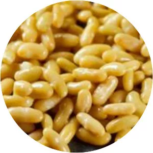 Flageolet bean - Plants