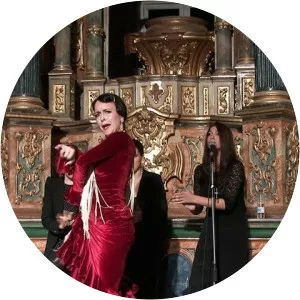 Flamenco Passion photograph