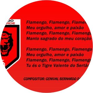 Flamengo Esporte Clube de Arcoverde Football club Whois