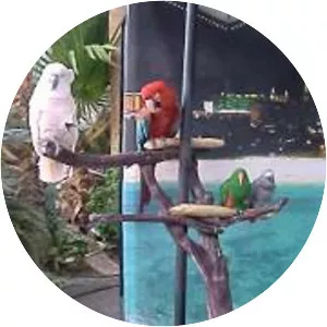 Flamingo Wildlife Habitat - 