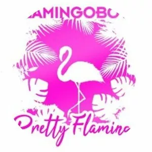 Flamingoboys