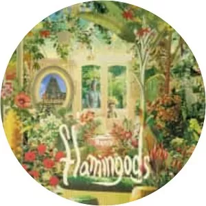 Flamingods - Rock band