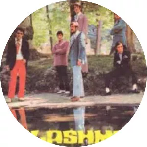 Flashmen - Musical group