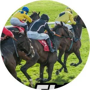 Flat Season Review - TV program