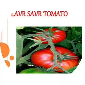 Flavr Savr - Food