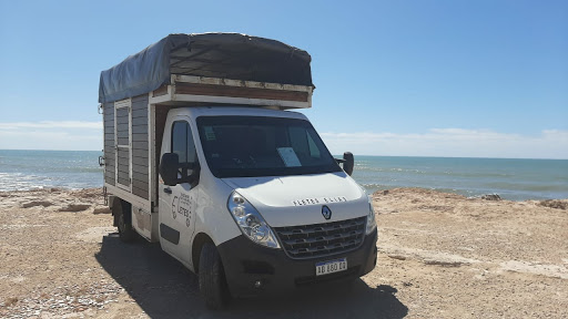 Fletes Y Mudanzas Elias - 