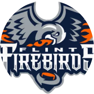 Flint Firebirds - Junior ice hockey team