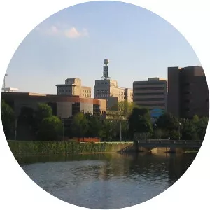 Flint - Fictional character