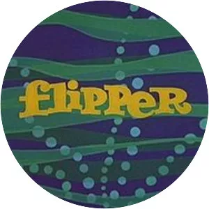 Flipper