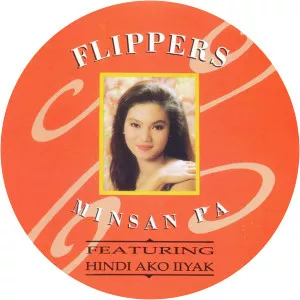 Flippers - Musical band