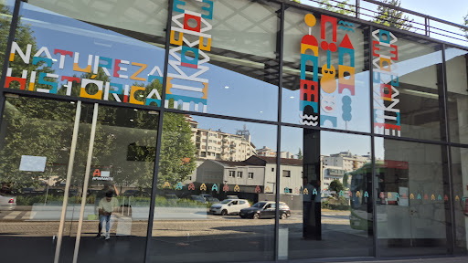 FLIXBUS AMARANTE - Transportation service in Amarante, Portugal