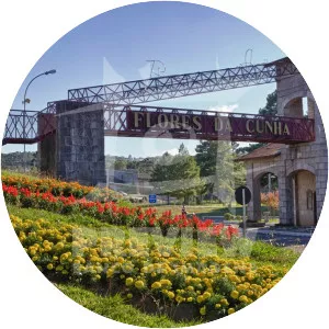 Flores da Cunha - Municipality in Brazil