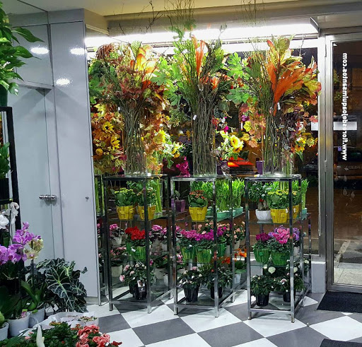 Flores Joaquim Santos - Florist in Porto, Portugal