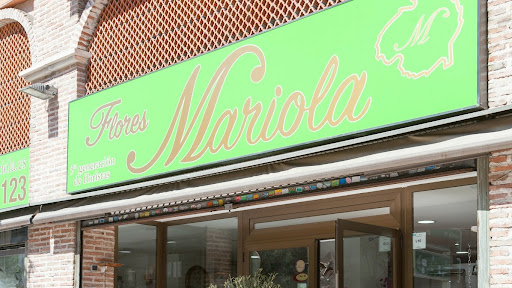 Flores Mariola
