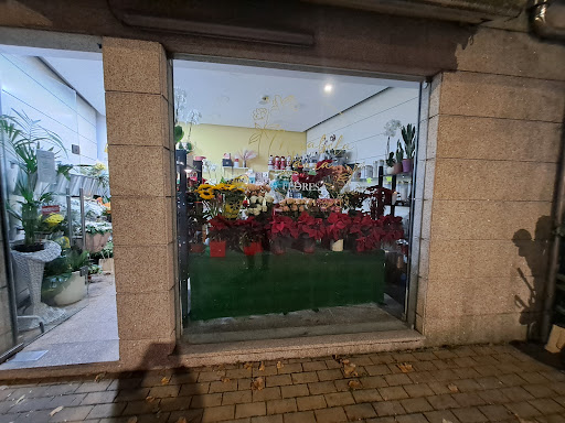 Flores Mirabela Laura