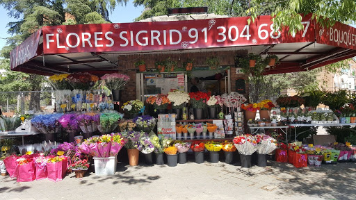 Flores Sigrid