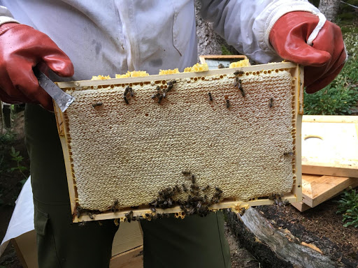 Florian Mauracher - Honey farm in Kirchberg in Tirol, Austria
