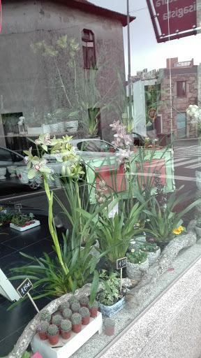 floriarte - Florist in Pacos de Ferreira, Portugal