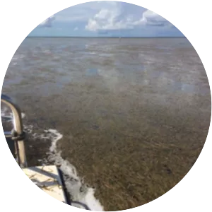 Florida Bay - Bay in Florida