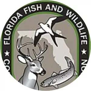 Florida Fish and Wildlife Conservation . . .