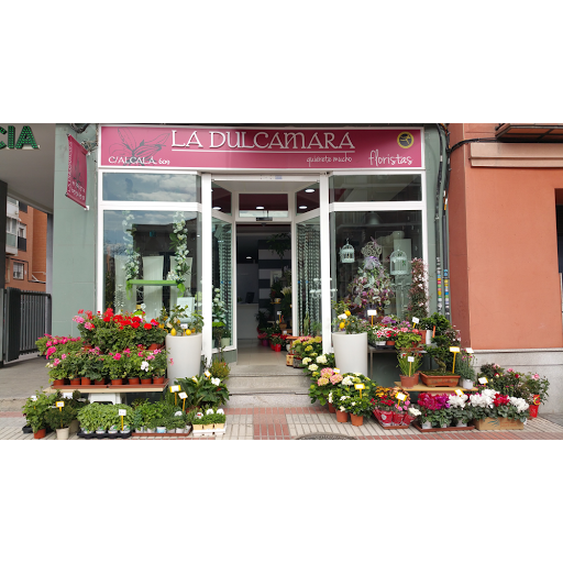Florist La Dulcamara