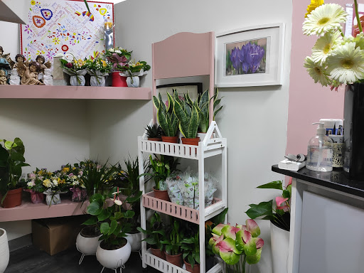 Florista - Cantinho das Flores - Florist in Viana do castelo, Portugal