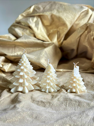 Florista Tulipa Catita