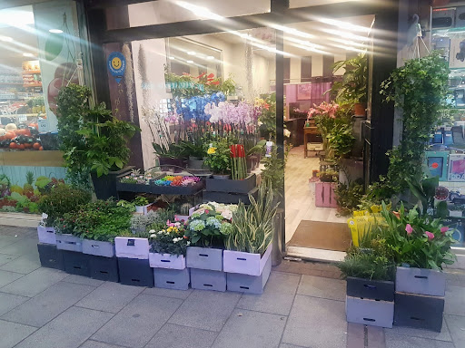 FLORISTERIA YERARD FLORISTAS - Florist in Madrid, Spain