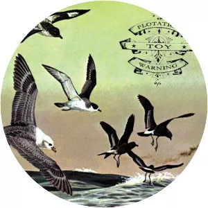 Flotation Toy Warning