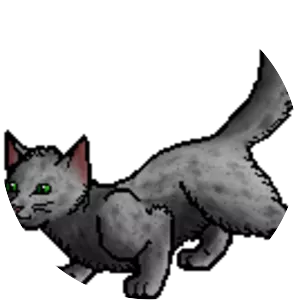 Flowerpaw - Fictional character