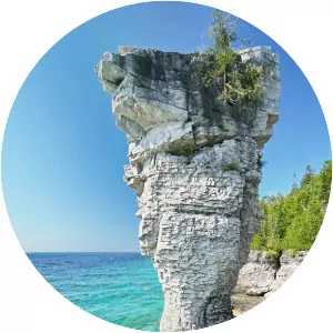 Flowerpot Island